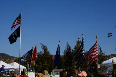 DSC_1958 (Large).JPG